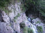 沢写真2011,06 051.jpg