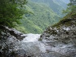 沢写真2011,06 051.jpg