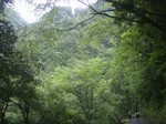 沢写真2011,06 054.jpg