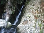 沢写真2011,06 055.jpg