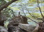 沢写真2013.5 002.jpg