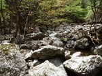 沢写真2013.5 006.jpg