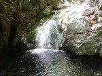 沢写真2013.5 007.jpg
