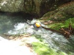 沢写真2013.5 008.jpg