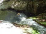 沢写真2013.5 009.jpg