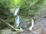 沢写真2013.5 013.jpg