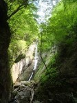 沢写真2013.5 014.jpg
