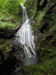 沢写真2013.6 006.jpg