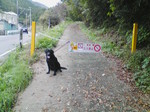 H20.10.12 金剛山 石ブテ西谷00.jpg