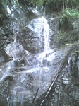 H20.10.12 金剛山 石ブテ西谷07-1.jpg