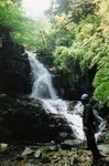 img439.jpg