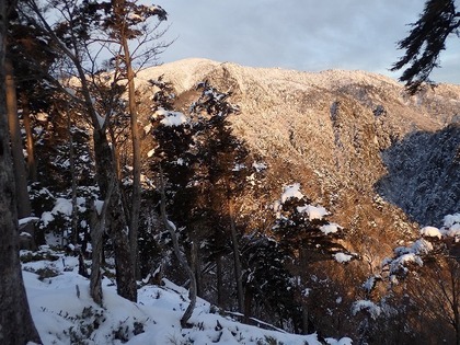s-P1190059.jpg