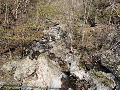 s-P4210017.jpg