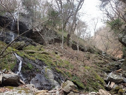 s-P4210040.jpg