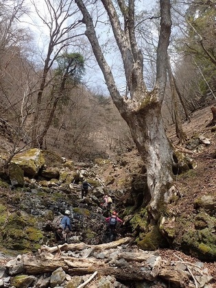 s-P4210053.jpg