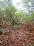 s-P8060150.jpg