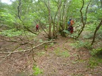 s-P8060151.jpg