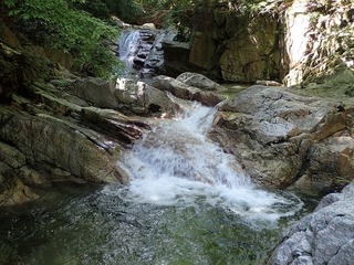 s-P8160047.jpg