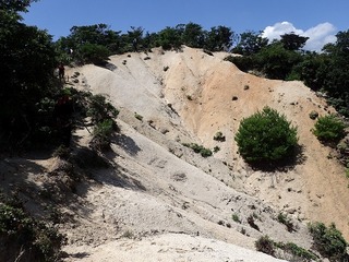 s-P8160081.jpg