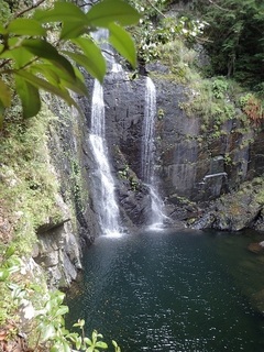 s-P8300040.jpg