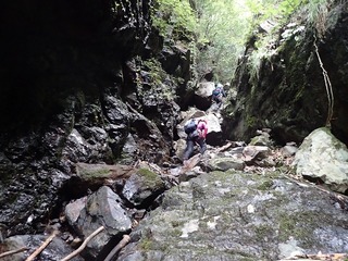 s-P8300045.jpg
