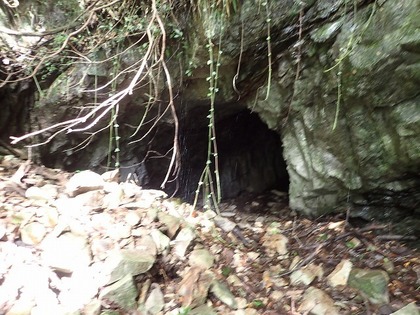 s-P9080126.jpg