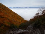 s-PA040115.jpg