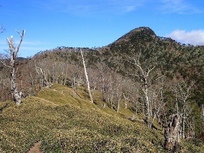 s-PB100074.jpg