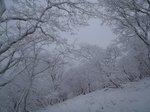 s-PC070170.jpg