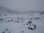 s-PC070176.jpg