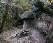 takuyu-2005-11-15T00_06_59-3.jpg