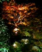 image/takuyu-2005-11-22T06:40:26-5.jpg